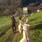 Διαμέρισμα Schwabenhof