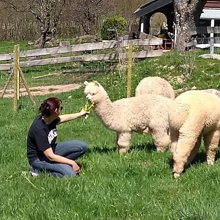 Appartement Schwabenhof *