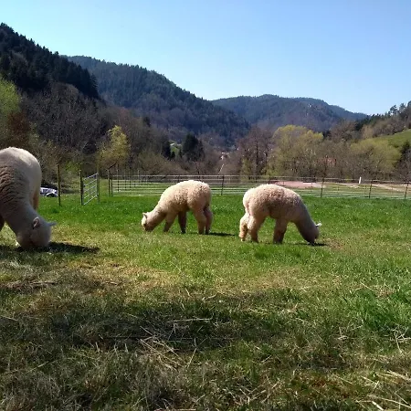 Schwabenhof Appartement