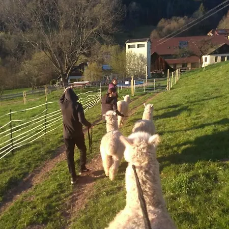Appartement Schwabenhof