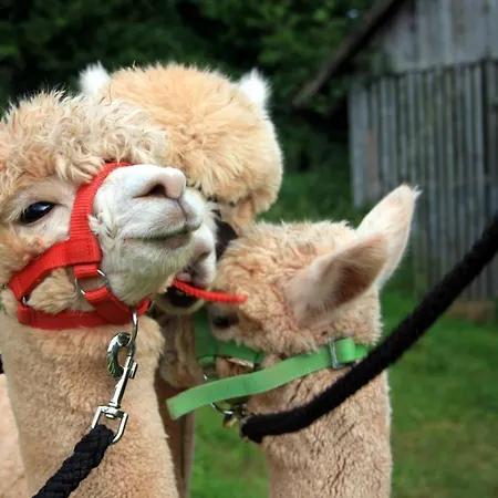 Appartement Schwabenhof Schramberg