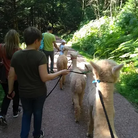 Appartement Schwabenhof *