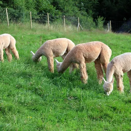 Appartement Schwabenhof