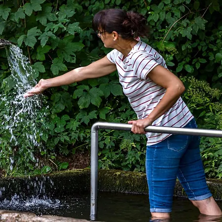 Schwabenhof * Schramberg