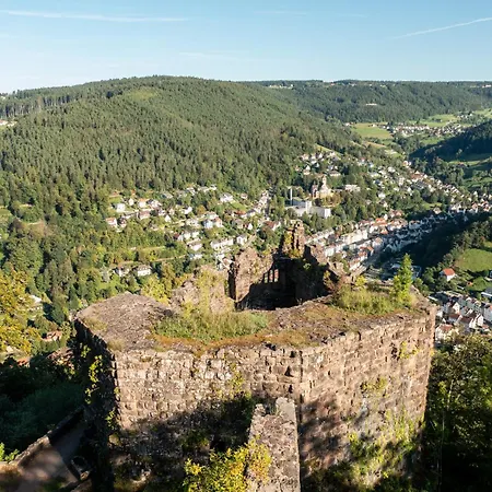 Schwabenhof Appartement Schramberg