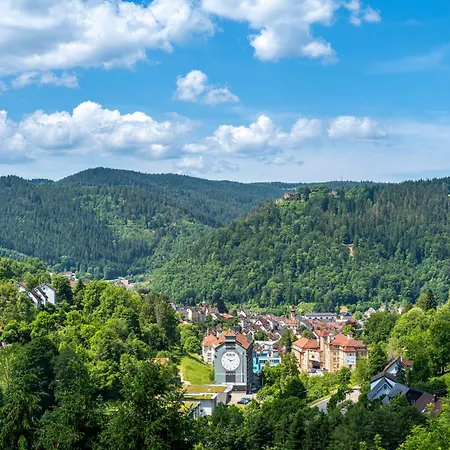 Schwabenhof * Schramberg