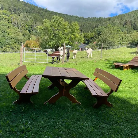 Schwabenhof Appartement